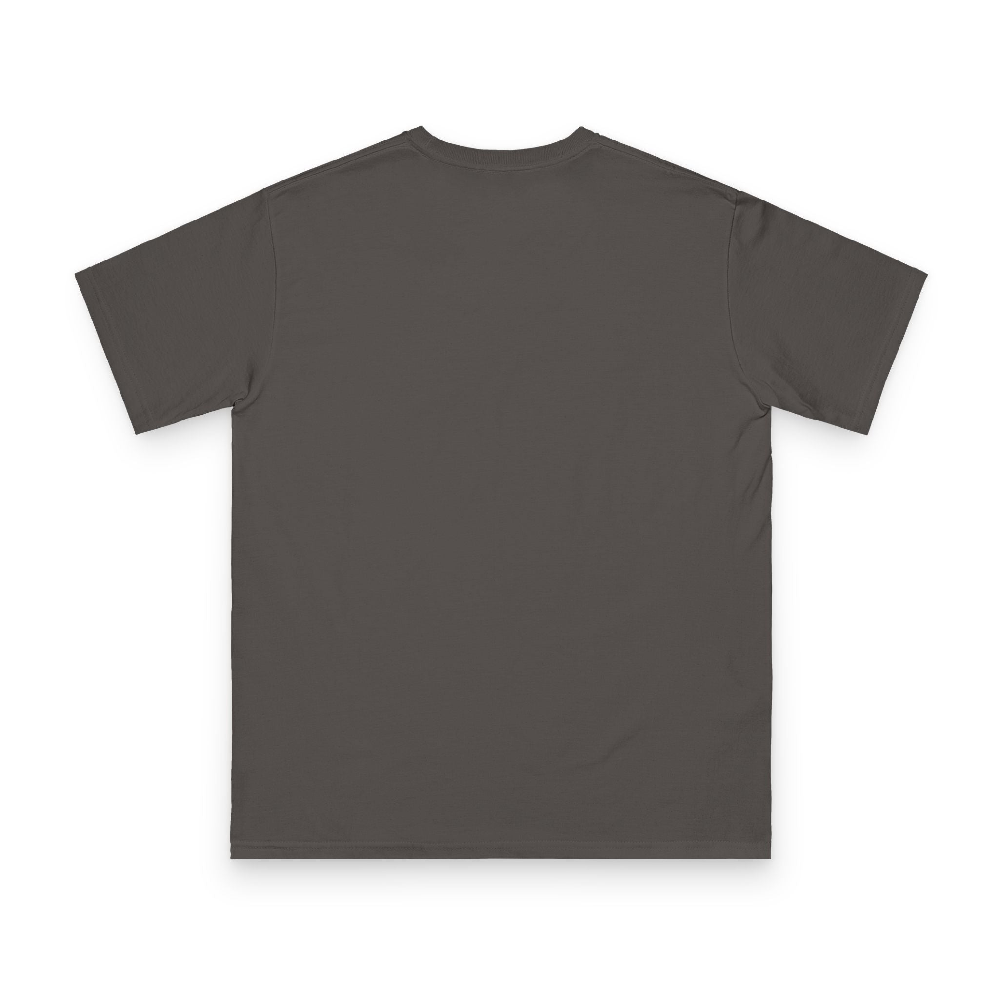 Organic Unisex Classic T-Shirt